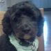 Cynthia Lammers - Facebook