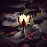 Cynthia Larson - @photos.by.cynthia - Instagram