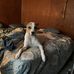 Cynthia Laughlin - Facebook
