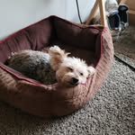 Cynthia Harman O'Leary - @cynthia.oleary.9 - Instagram