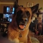 Cynthia Leffler - @cynthia.leffler.5 - Instagram