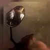 Cynthia LO - @cynthialo128 - TikTok