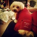 Cynthia Jane Trusewicz-Mackey - @trusewiczmackey - Instagram