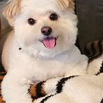 Cynthia Mackey Murrell - @cynthia.mackey.7547 - Instagram