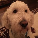 Cynthia MacPherson-Ross - @cynmacross - Instagram
