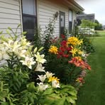 Cynthia Mapes - Facebook