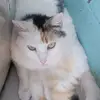 CynthiaMarch - @cynthia.march - TikTok