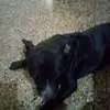 cynthiamarchese01 - @cynthiamarchese01 - TikTok