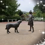 Cynthia McGee Dunphy - @seniorrambles - Instagram
