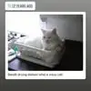 Cynthia Woolley Moser - @cynthia.woolley.m - TikTok