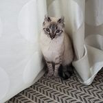 Cynthia Parent - @cynthia.parent.129 - Instagram