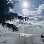 Cynthia Parrish - @abundntfuture - Instagram
