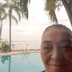 Cynthia Patton - @cindypatton2 - Instagram