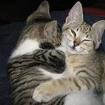Cynthia K. Phifer - @cynthiak.phifer - Instagram