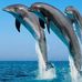 Cynthia Quick - Facebook