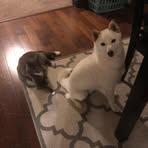 Cynthia Redfern - Facebook