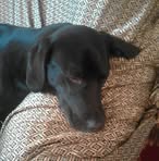 Cynthia Redfern - Facebook