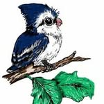 Cynthia Reece - @cynthiareece660 - Instagram