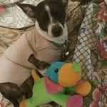 Cynthia Ritch - @ritchcynthia - Instagram