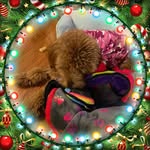 Cynthia Ritchie - @cynthia.ritchie.737 - Instagram
