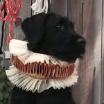 Cynthia Roach - @roachcynthia - Instagram