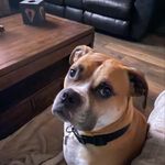 Cynthia Robbins - @cynthiarobbins6956 - Instagram