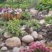 Cynthia Rodenwald - Facebook