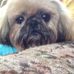 Cynthia Rowe - Facebook