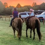 Cynthia Scanlon - @scanlon0386 - Instagram