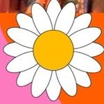 Cynthia Schaeffer - @coyoteren57 - Instagram
