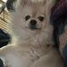 Cynthia Schuler - Facebook