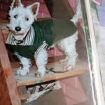 Cynthia Schuler Kiel - @cynthiaschulerkiel - Instagram
