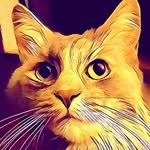 Cynthia Dunn-Selph - @cynthiadunnselph - Instagram