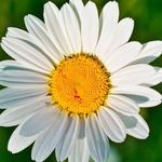 Cynthia Stark - @cklewis_realestate - Instagram