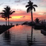 Cynthia Starr Roemer - @cynthiasroemer - Instagram