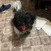 Cynthia Staten - Facebook