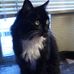 Cynthia Stidham - Facebook