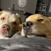 Cynthia Talbot - Facebook