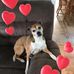 Cynthia Talbot - Crant - Facebook