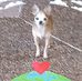 Cynthia Trainor - Facebook