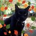 Cynthia Trask - Facebook