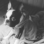 Cynthia Yoder - @yodercynthia - Instagram