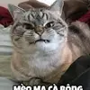 minh tâm cute - @dacbui469 - TikTok
