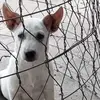 nhã Trân - @dacbui985 - TikTok