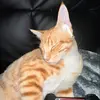 Dad can’t dance - @_dad_cant_dance_ - TikTok