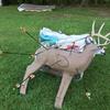 DeerHunting - @dadcando - TikTok