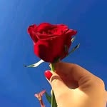 Dada Kaka - @dk8415195 - Instagram