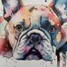 Davide Boila - Facebook