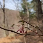 황종 대 - Facebook