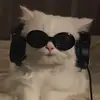 Daelee - @daelee.hayes0 - TikTok